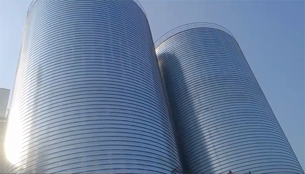 湖滨2座混凝土高架卷板仓